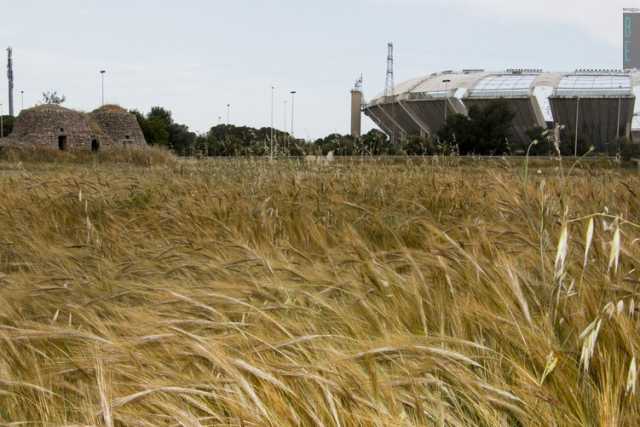 Bari calcio: ingresso gratuito allo stadio per i tifosi con disabilit�